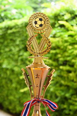 beautiful golden trophy with thailand ribbon on green tree background