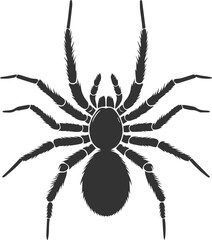 Vector art of a spider animal silhouette drawing