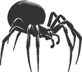 Vector art of a spider animal silhouette drawing