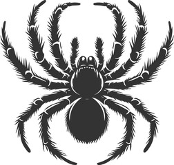 Vector art of a spider animal silhouette drawing