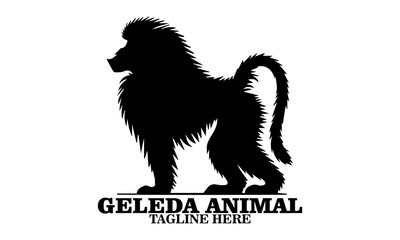 Geleda animal icon. gelada animal vector illustration and geleda animal logo design