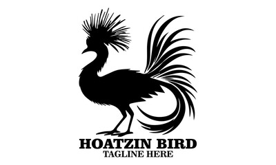 Hoatzin bird icon. hoatzin bird silhouette vector and hoatzin bird logo art with white background