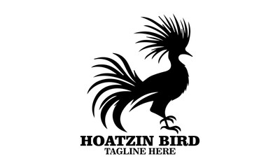 Hoatzin bird icon. hoatzin bird silhouette vector and hoatzin bird logo art with white background