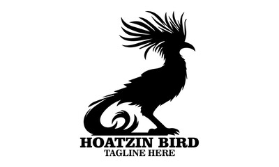 Hoatzin bird icon. hoatzin bird silhouette vector and hoatzin bird logo art with white background