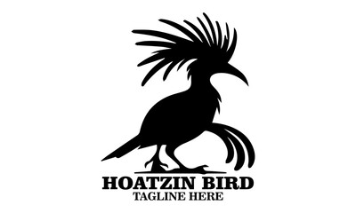 Hoatzin bird icon. hoatzin bird silhouette vector and hoatzin bird logo art with white background