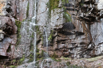 Water falling on rocks with moss and small plants (Waterfall)