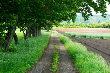 まっすぐな道、長野県佐久市