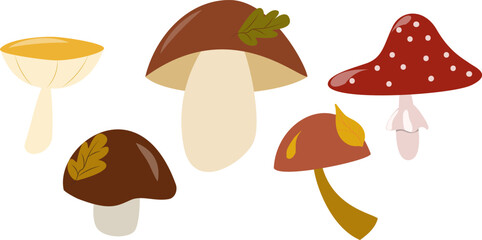 Vector set of colorful cartoon mushrooms. Ideal for children's designs, nature autumn themes, packaging, stickers, and digital art. Fun and playful style for creative projects.