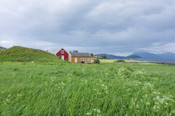 Green field and blue sky at Høgsteinneset, Godøy, Giske, More og Romsdal, Norway