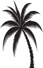 Obraz premium Tropical Palm Tree Silhouette