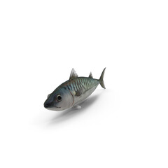 Mackerel Fish Side View Isolated on Transparent Background