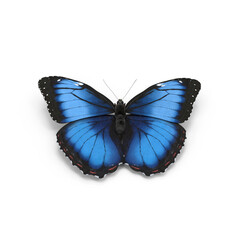 Fototapeta premium Blue Butterfly with Open Wings Isolated on Transparent Background
