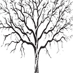 Fototapeta premium Intricate Bare Tree Silhouette