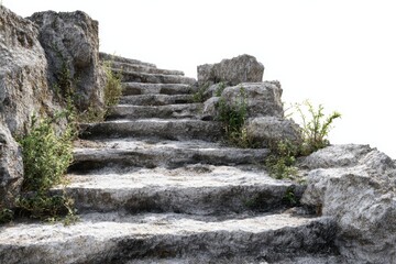Stone steps with vegetation leading upward