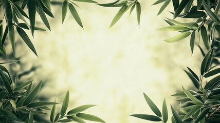 Fototapeta premium Lush tropical foliage framing a serene background with soft light illuminating the scene