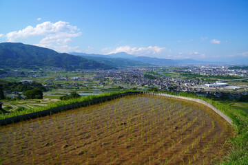 姨捨の棚田　田植えシーズン