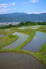 姨捨の棚田　田植えシーズン