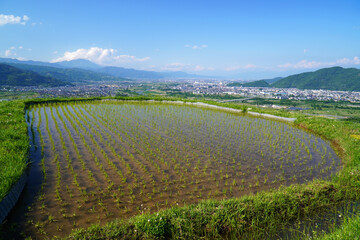 姨捨の棚田　田植えシーズン