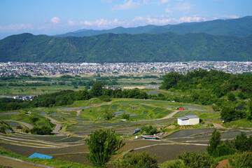 姨捨の棚田　田植えシーズン