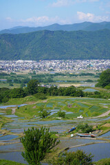 姨捨の棚田　田植えシーズン