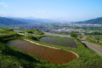 姨捨の棚田　田植えシーズン