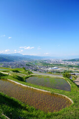 姨捨の棚田　田植えシーズン