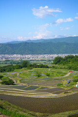 姨捨の棚田　田植えシーズン