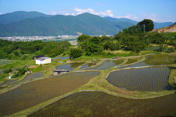姨捨の棚田　田植えシーズン