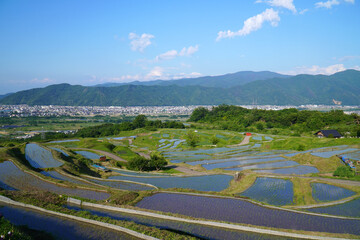 姨捨の棚田　田植えシーズン