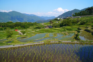 姨捨の棚田　田植えシーズン