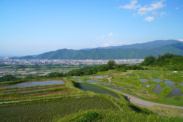 姨捨の棚田　田植えシーズン