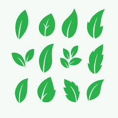 Vector illustration of twelve green leaves with white veins, arranged in a clean 3x4 grid pattern. Perfect for nature-themed designs, branding, and eco-friendly visuals