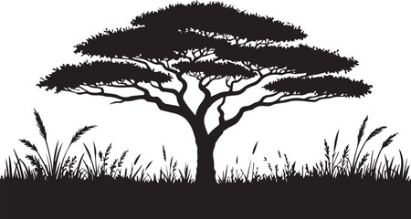 Majestic african acacia tree silhouette savanna landscape