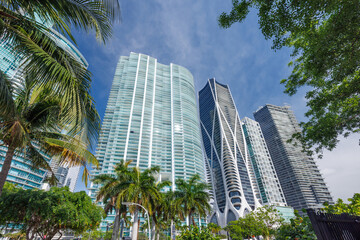 Modern skyline of Miami with towering skyscrapers, tropical vibe, and waterfront views