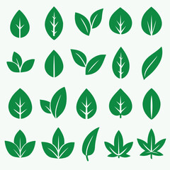 Vector illustration of twelve green leaves with white veins, arranged in a clean 3x4 grid pattern. Perfect for nature-themed designs, branding, and eco-friendly visuals