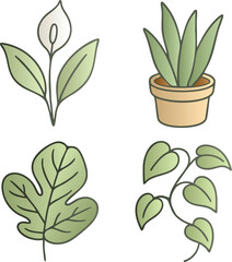 Sprout and vine icon set