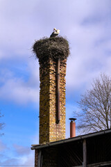 A stork's nest on an old brick chimney in early spring.