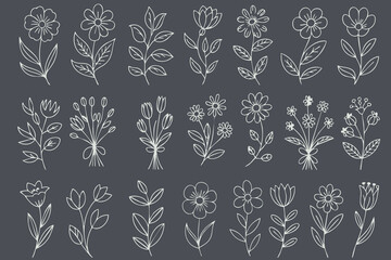Delicate floral illustrations featuring various flowers and leaves in hand drawn style, perfect for design projects and decorations