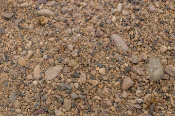 Sea pebble texture. Small sea stones. texture of multi-colored sea stones.Vertical texture