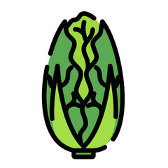 napa cabbage icon	