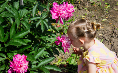 little girl in the garden sniffing flowers. Selective focus