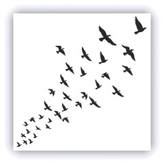 Two white doves surrounded by flowers in a soft golden light, symbolizing peace and love in a serene natural setting