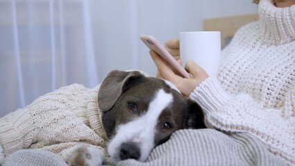 Woman wearing a cozy sweater relaxes on the sofa with her dog, also wearing a sweater, while using her smartphone and enjoying a warm beverage in a mug