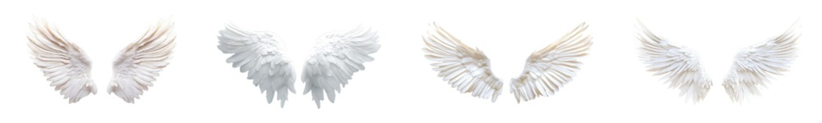 set of Detailed, symmetrical pair of white angel wings. isolated on transparent background