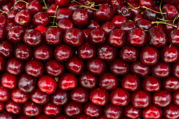Fresh cherries piled high showcasing the bounty of summer harvest. Glossy red cherries arranged in abundance at a local market. Juicy cherries symbolizing the sweetness and richness of life.