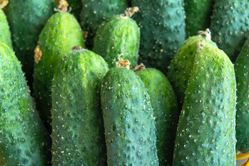 Fresh green cucumbers neatly arranged in colorful baskets at a local market. Crisp cucumbers displayed in baskets reflecting the essence of freshness and vitality.
