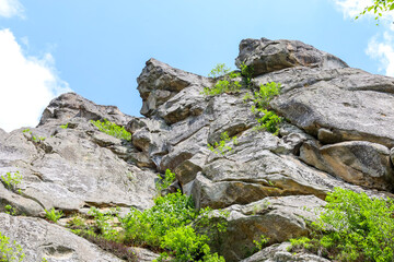 Massive rock formations with bizarre shapes, partially covered with vibrant green vegetation, demonstrate the grandeur and resilience of nature.