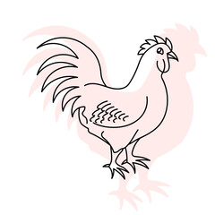 Elegant line art rooster illustration farm animal