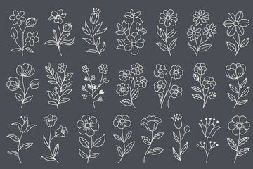 Delicate floral illustrations in variety of styles, featuring hand drawn flowers and leaves on dark background, evoke sense of elegance and nature