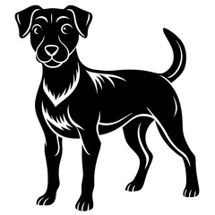 black dog isolated on white background